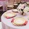 Smarty Had A Party Ivory w/Gold Harmony Rim Plastic Dinnerware Value Set (120 Dinner Plates + 120 Salad Plates), 240PK 640GVP-CASE - alternate 11