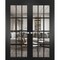 Sartodoors Solid French Double Doors, Felicia 3355 Matte Black with Clear Glass, Wood Solid Panel Frame Trims FELICIA3355DD-BLK-6084 - alternate 1