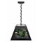 Holland Bar Stool University of Vermont Pendant Box Light BxLM1 - alternate 1