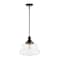 Jonathan Y Schoolhouse 14" 1-Light Bohemian Farmhouse Iron/Glass LED Pendant, Oil Rubbed Bronze/Clear JYL7585A - alternate 12