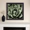 Homeroots Green Succulent II Brown Framed Print Wall Art 527046 - alternate 5