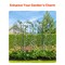 Vevor Metal Garden Trellis for Climbing Plant Support 87x20 in Rustproof, 4PK TFHPJ51220-4 - alternate 8
