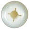 Auveco Nissan Body Side Moulding Screw Grommet #10 Screw, 15PK 19293 - alternate 2