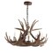 Jonathan Y Nelle 28.5" Adjustable Resin Antler 6-Light Chandelier, Brown JYL6302A - alternate 19
