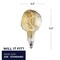 Bulbrite 60-Watt Equivalent Jewel Amber Light Dimmable LED Grand Filament Nostalgic Light Bulb 776318 - alternate 4