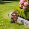 Techko Sunny Moo Outdoor Solar Cow Garden Statue with Integrated LED Lantern, 8PK SG-824-8PK - alternate 10