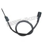 Exhaust Temperature Sensor Walker Products 273-10096