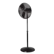 Dayton Light Duty Industrial Fan, Pedestal Mount, 20 in