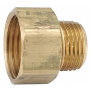 Zoro Select Female Adapter, Low Lead Brass, 500 psi 707484-1208