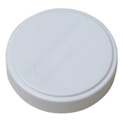 Zoro Select Capseal, Round Head, 2 In., Poly, PK10 GDRP20W