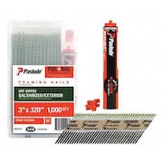 Paslode Collated Framing Nail, 3-1/4 in L, Not Applicable, Brite, Offset Round Head, 30 Degrees, 1000 PK 650535
