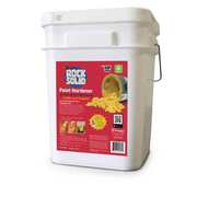 Xsorb Rock Solid Paint Solidifier, Paint Hardener, Pail with Scoop, 4 Gal XT16R