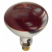 Shat-R-Shield SHAT-R-SHIELD 250W, R40 Incandescent Heat Light Bulb 250R40/HT/RED