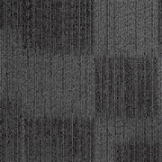 Zoro Select Carpet Tile, 19-11/16in. L, Charcoal, PK20 31HL77