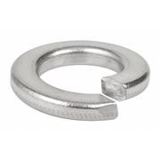 Calbrite Split Lock Washer, For Screw Size 1/4 in 316 Stainless Steel, Brite Finish S60200LW00