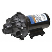 Everflo Sprayer Pump, Inlet/Outlet 1/2" FNPT EF5500-BOX