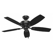 Hunter Indoor/Outdoor Ceiling Fan, 48" Blade Dia., 1 Phase, 120 53351