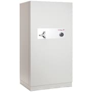 FIREKING Data Safe, 2 Hour, 20.9 cu.ft. Capacity DS6431-2