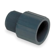 Zoro Select PVC Male Adapter, MNPT x Socket, 4 in Pipe Size 836-040