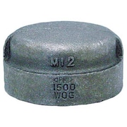 ANVIL 1/2" Malleable Iron Cap 0318901303