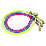 JB INDUSTRIES Manifold Hose Set, Low Loss, Connection Size 1/4 in Female, 30 Deg Angle, Number of Hoses 3, 60 in L CCLS-60