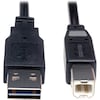Tripp Lite Reversible USB Cable, Black, 6 ft. UR022-006