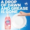 Dawn Dishwashing Detergent, 24 oz., Bottle, PK10 74093