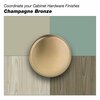 Richelieu Hardware 1 9/16 in (40 mm) Champagne Bronze Transitional Cabinet Knob and Backplate BP228640CHBRZ