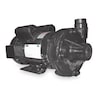 Dayton Cast Iron 2 HP Centrifugal Pump 115/230V 2ZXN6 | Zoro