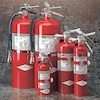Amerex Fire Extinguisher, 5B:C, Halotron, 5 lb B386T
