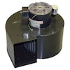Dayton Rectangular OEM Blower, 1400 RPM, 1 Phase, Direct, Steel 70240788