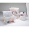Orbis Translucent Attached Lid Container, Plastic FP261 Clear