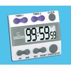 Traceable Digital Timer, 3/4 In. LCD, 2 Channels 8212 | Zoro