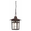 Nuvo Cove Neck 1-Light 12 in. Outdoor Hang with Clear Seed Glass 60-4955
